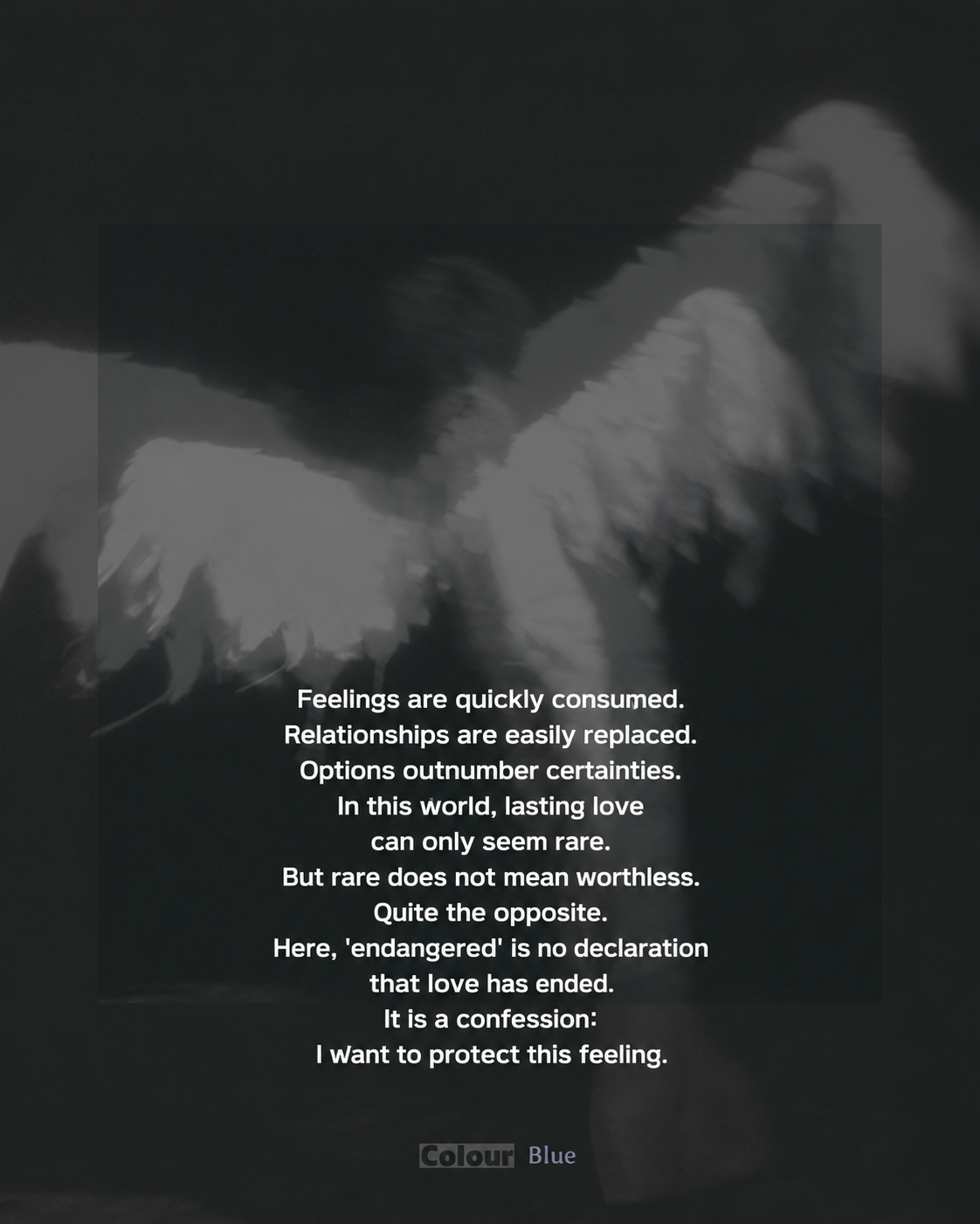 English “Endangered Love” review card describing lasting love as rare and worth protecting.