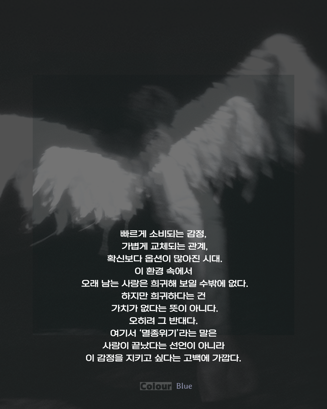 빠르게 소비되는 감정 속에서 지속되는 사랑을 지키고 싶다는 세 번째 카드